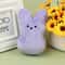Easter Bunny Plush Dog Chew Toy 9