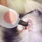 LED Pet Nail Clipper For Cats And Dogs 3