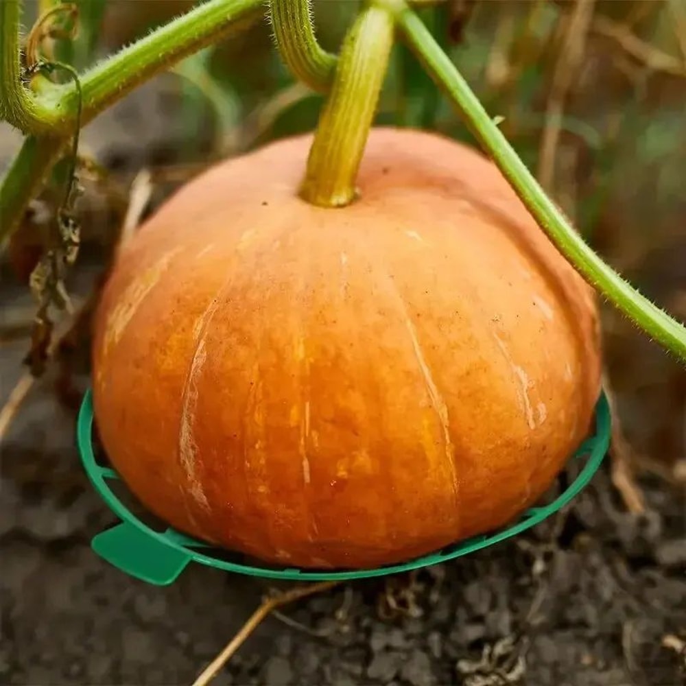 Garden Fruit Support Tray 2