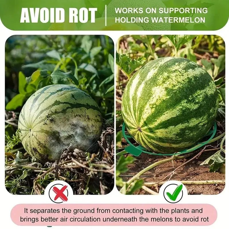 Garden Fruit Support Tray 6