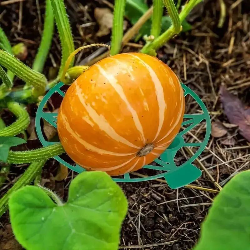 Garden Fruit Support Tray 8