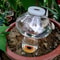 Different Shaped Automatic Plant Waterer 5