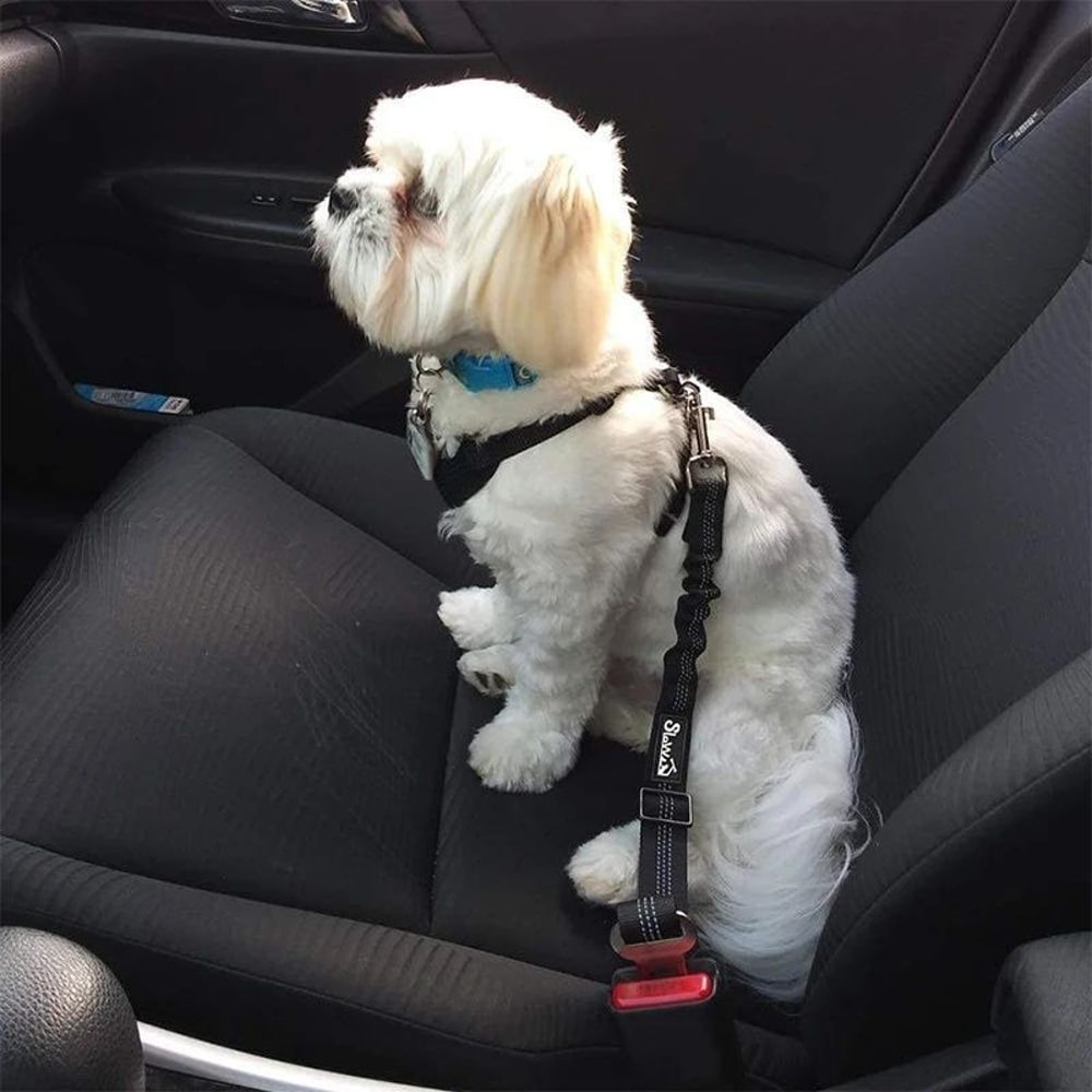 Adjustable Dog Car Safety Leash 4