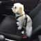 Adjustable Dog Car Safety Leash 4