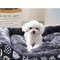 Cozy Pet Dog Bed Sofa Mat 6