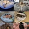 Winter Plush Pet Sofa Bed Mat 8