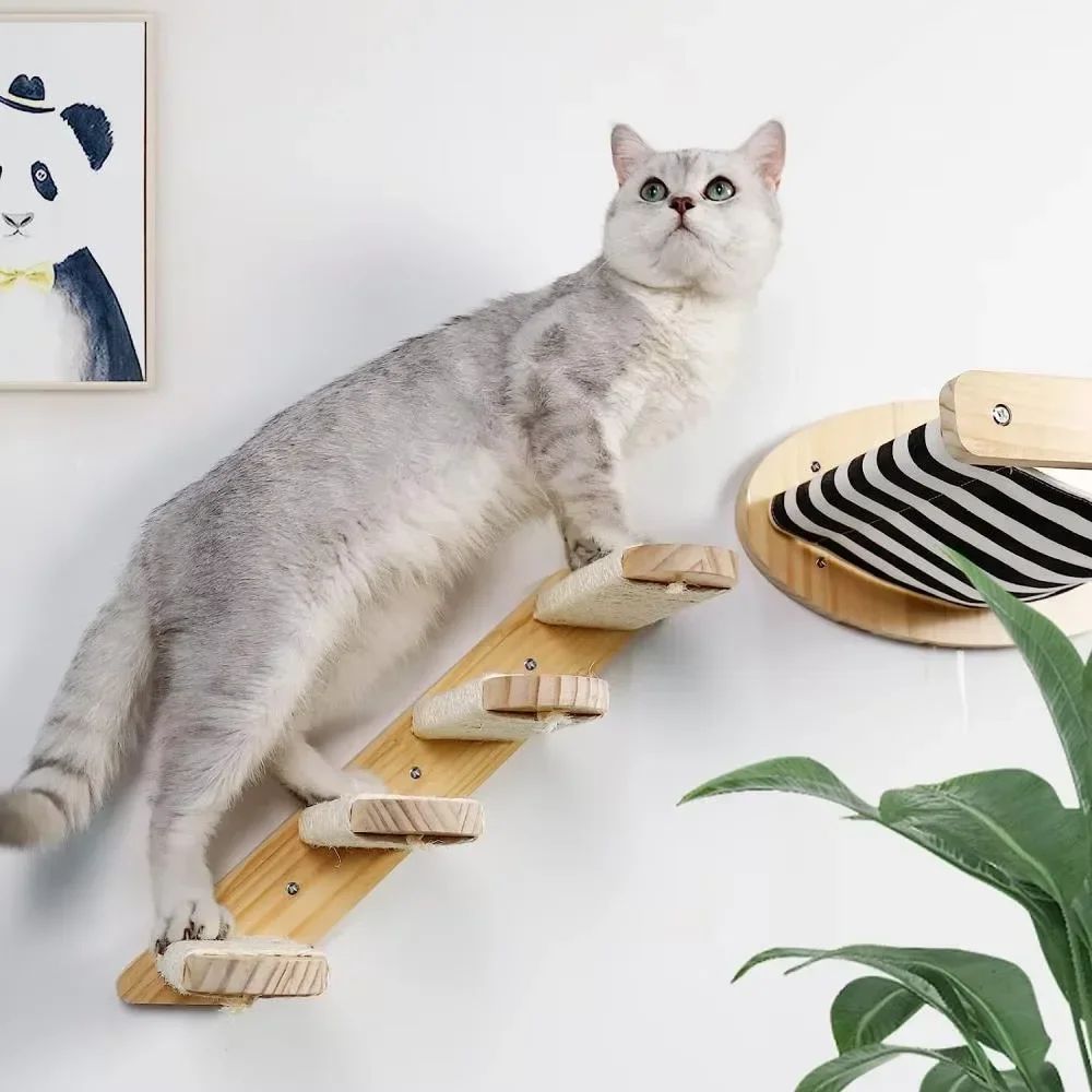 Wall Mounted Wooden Cat Climbing Hammock Set 2