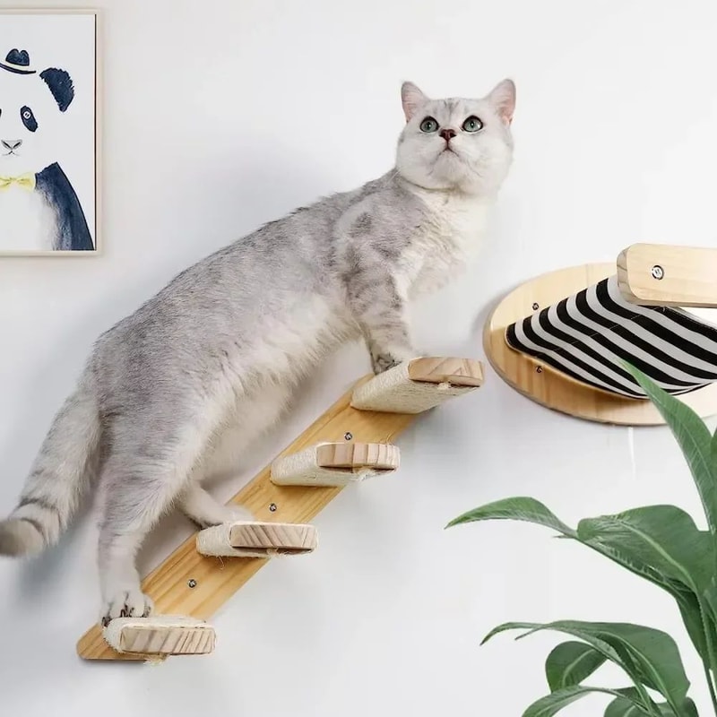 Wall Mounted Wooden Cat Climbing Hammock Set 2