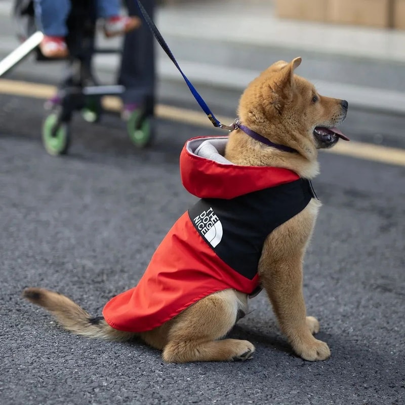 Summer Dog Shirt Lightweight Pet Apparel 1