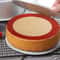 Round Silicone Baking Mat Liner 10