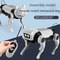 RC Robot Dog DIY Assembly Toy 3
