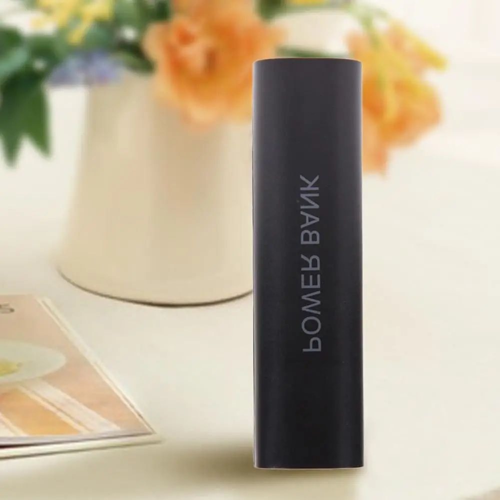 Portable 18650 Power Bank Case 2