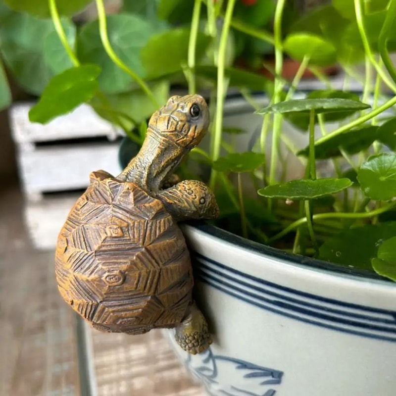 Cute Turtle Plant Pot Hanger 0