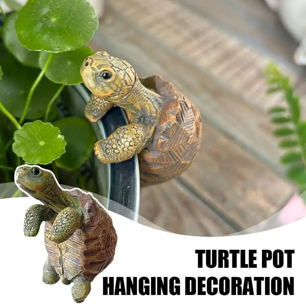 Cute Turtle Plant Pot Hanger 2