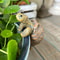Cute Turtle Plant Pot Hanger 3
