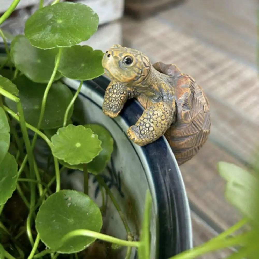 Cute Turtle Plant Pot Hanger 4