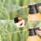 Portable Garden Pressure Sprayer 9