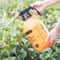 Portable Garden Pressure Sprayer 12