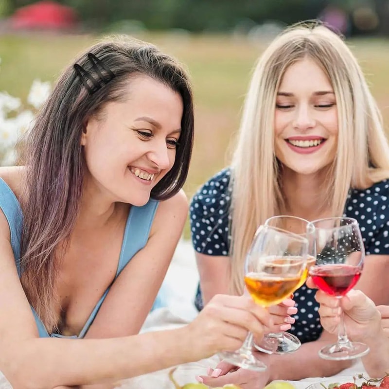 Double Grip Metal Hair Clips Set 3