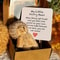 Mini Plush Worry Bear Gift Box 4