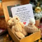 Mini Plush Worry Bear Gift Box 5