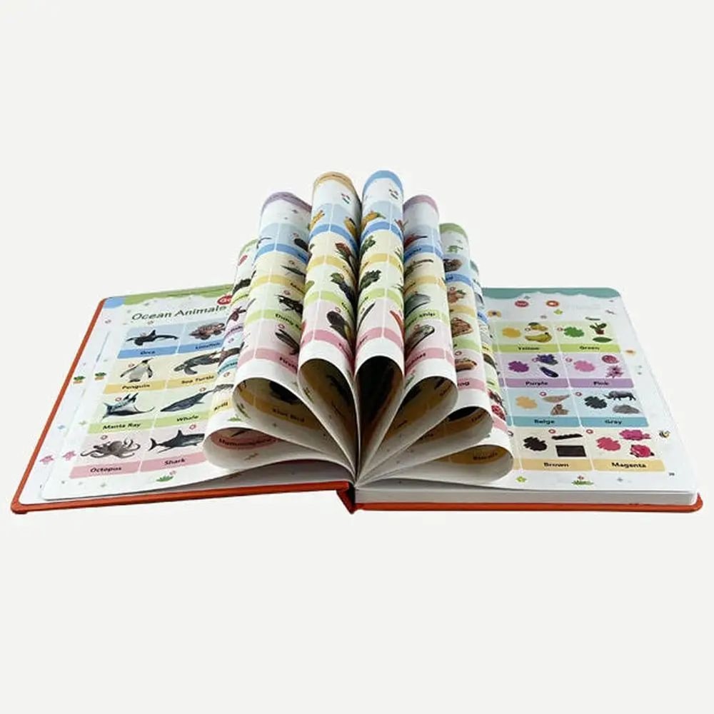 First English Words Sound Book 5