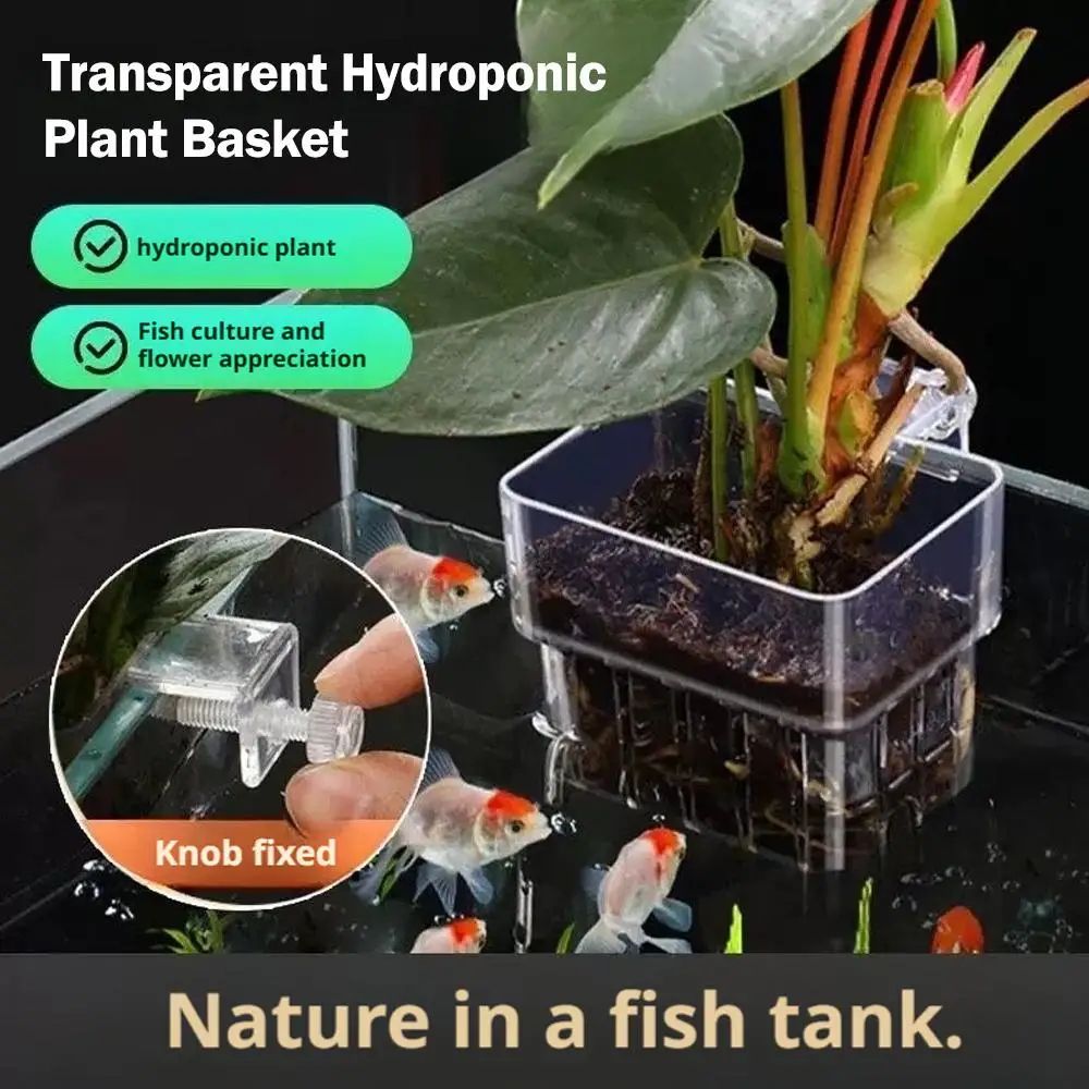 Transparent Aquarium Plant Holder Cups 2