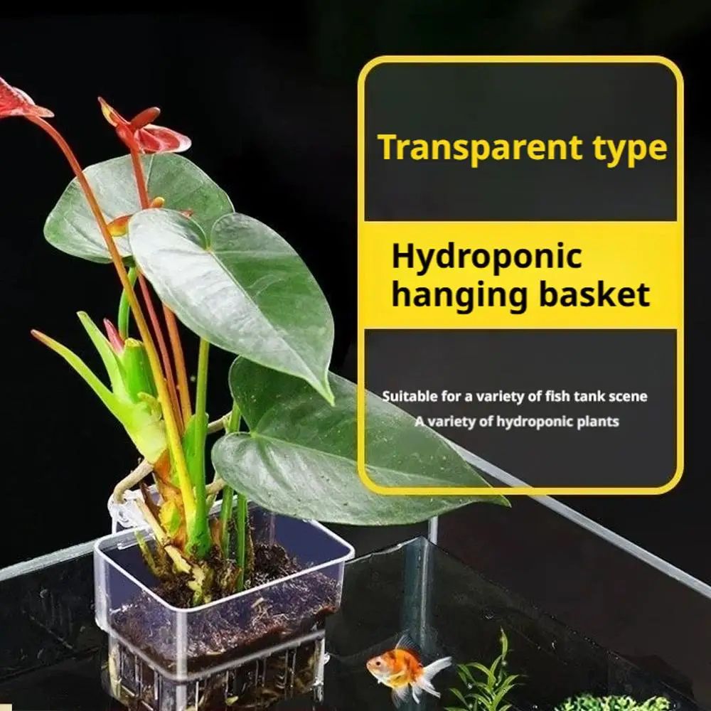 Transparent Aquarium Plant Holder Cups 3