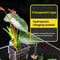 Transparent Aquarium Plant Holder Cups 3