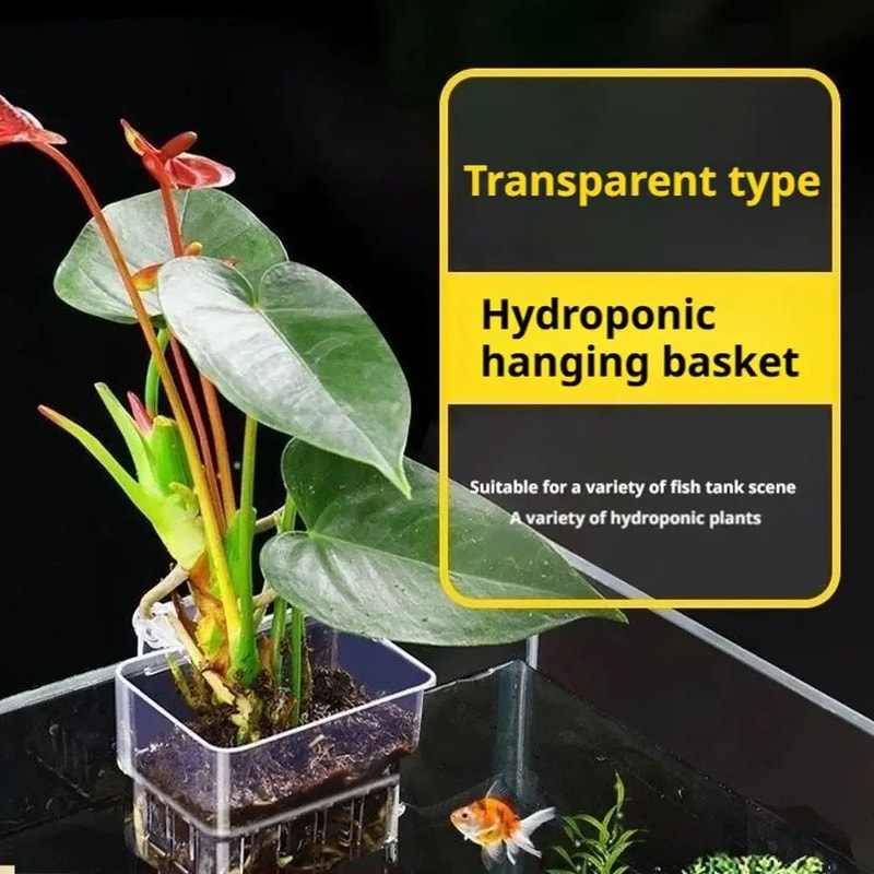 Transparent Aquarium Plant Holder Cups 3