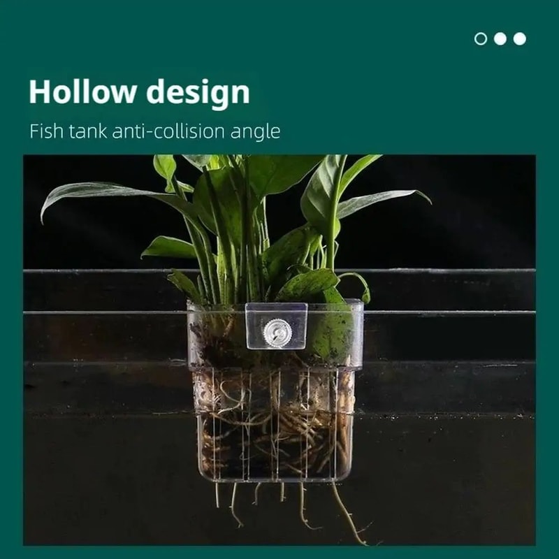 Transparent Aquarium Plant Holder Cups 6