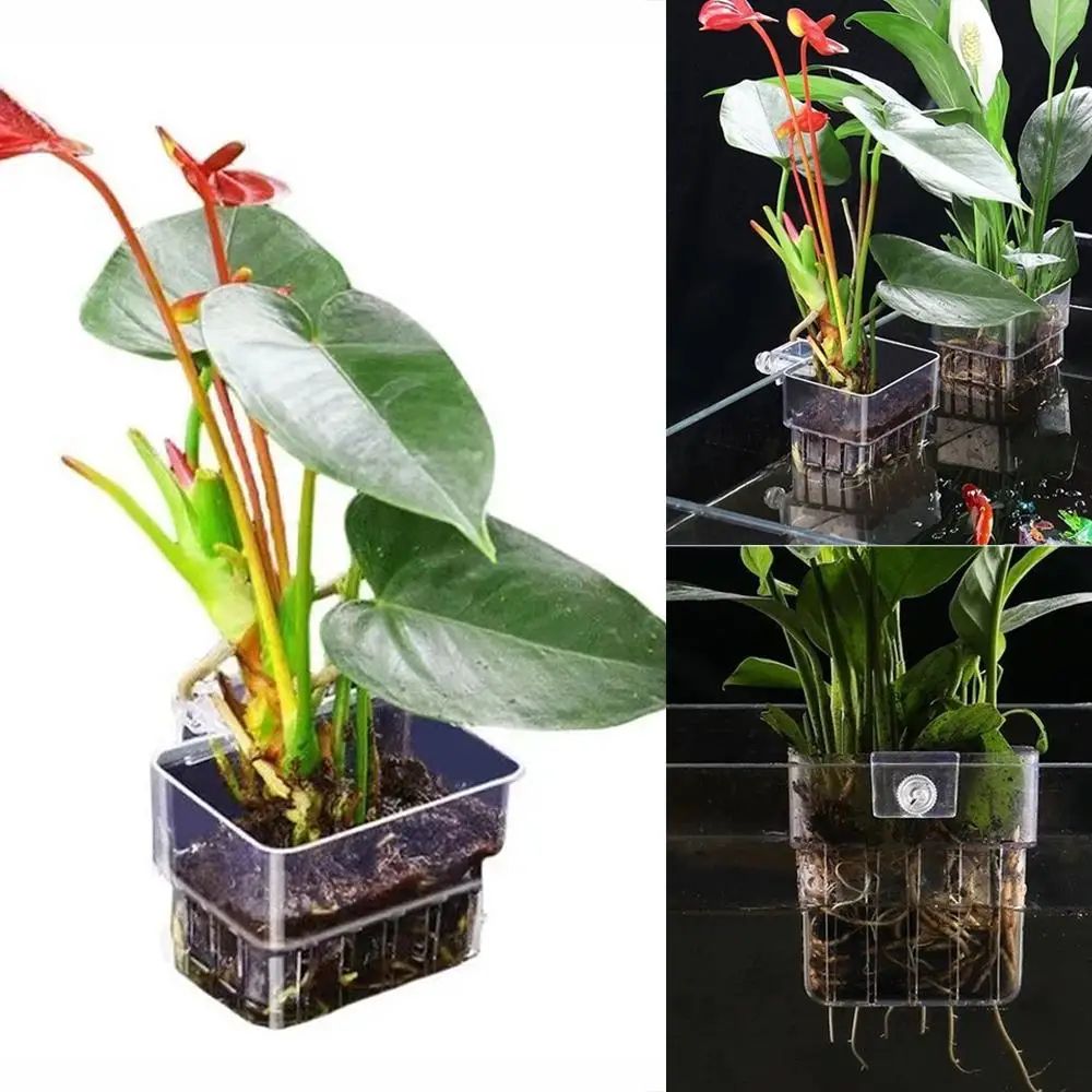 Transparent Aquarium Plant Holder Cups 7
