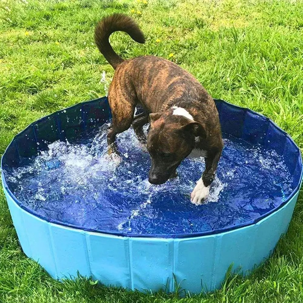 Foldable Pet Bathing Tub Pool 0