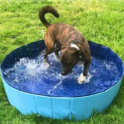 foldable pet bathing tub pool