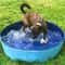 Foldable Pet Bathing Tub Pool 0