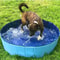Foldable Pet Bathing Tub Pool 0