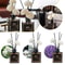 Jasmine Reed Diffuser Set For Home 5