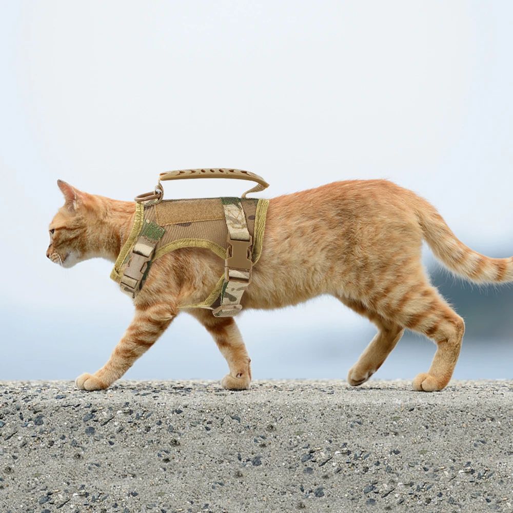 Tactical Cat And Small Dog Harness 0