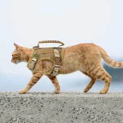 tactical cat and small dog harness