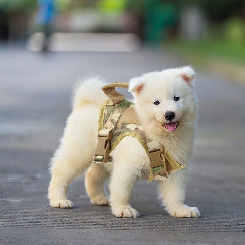 Tactical Cat And Small Dog Harness 6