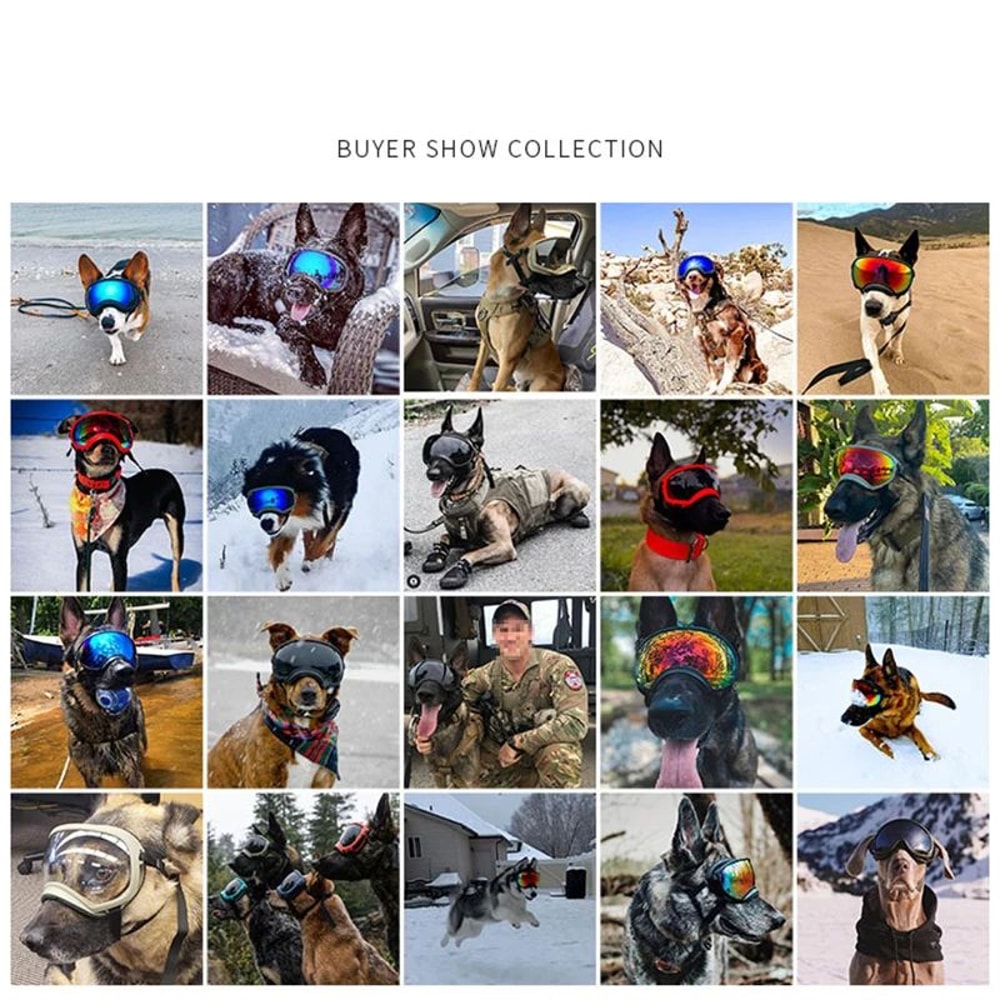 Dog Goggles UV Protection Eyewear 5