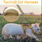Tactical Cat Harness With Leash 9