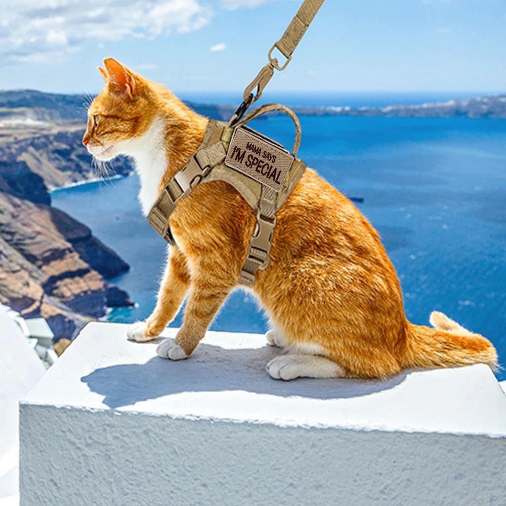 Tactical Cat Harness With Leash 10