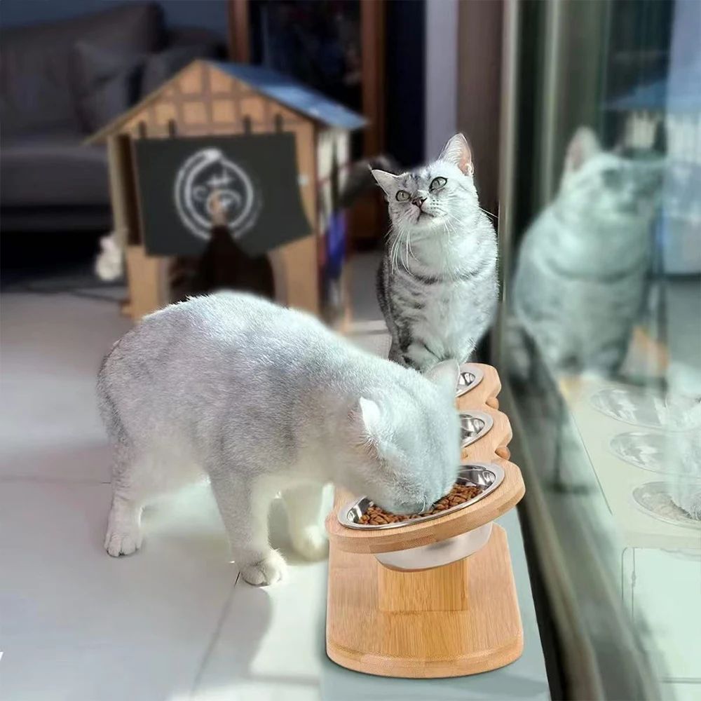 Three Bowl Raised Cat Feeder Set 2