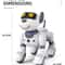 RC Robot Dog Stunt Dancing Pet Toy 6