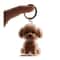 Pet Hair Keepsake Memorial Bottle 3