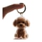 Pet Hair Keepsake Memorial Bottle 3