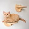 Wall Mounted Cat Climbing Ladder With Hammock 8