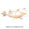 Wall Mounted Cat Climbing Shelf Stairs 15