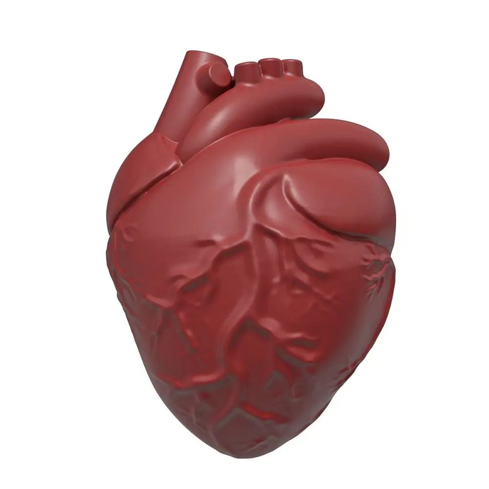 Silicone Human Brain Cake Mold 4